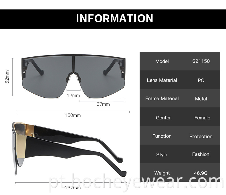 Large Frame Sunglasses